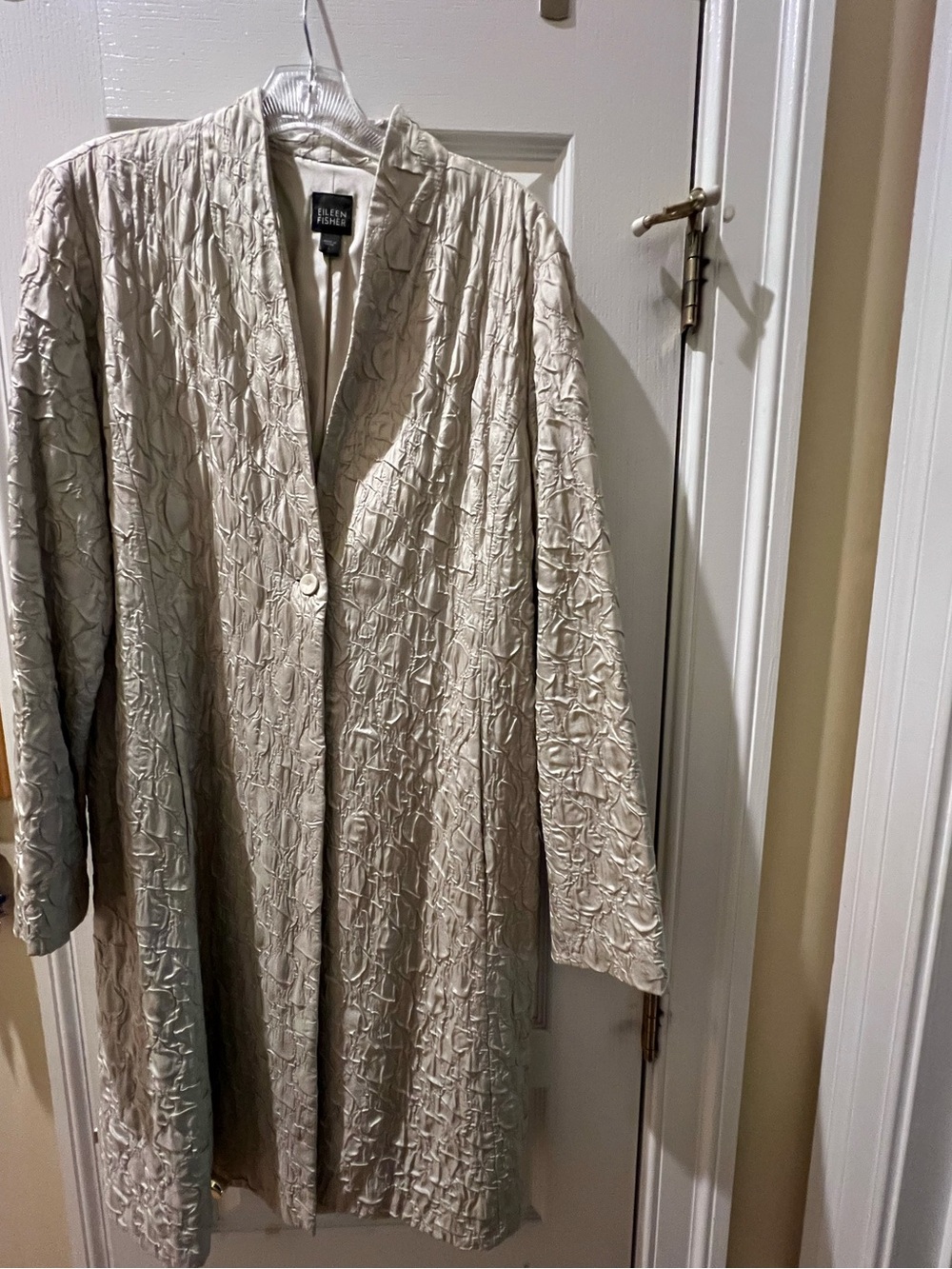 Eileen Fisher long tunic/jacket, champagne silk, large